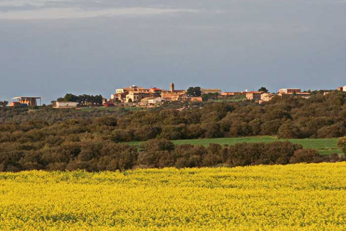 Activitats, fires i festes de Coscó