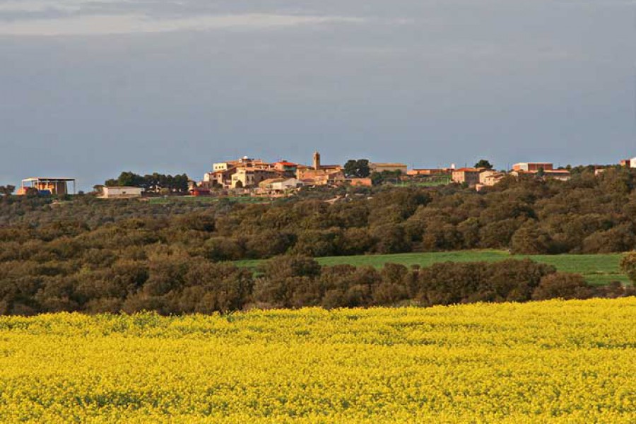 Activitats, fires i festes de Coscó