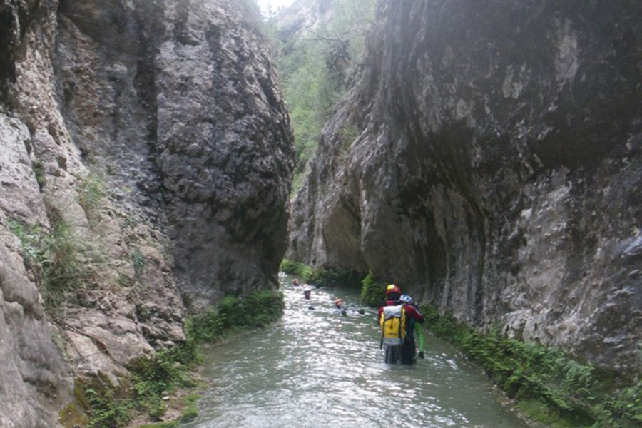 El forat del Bulli